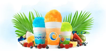 Tropical Sno Cups With Fruit And Leaves Surrounding Them