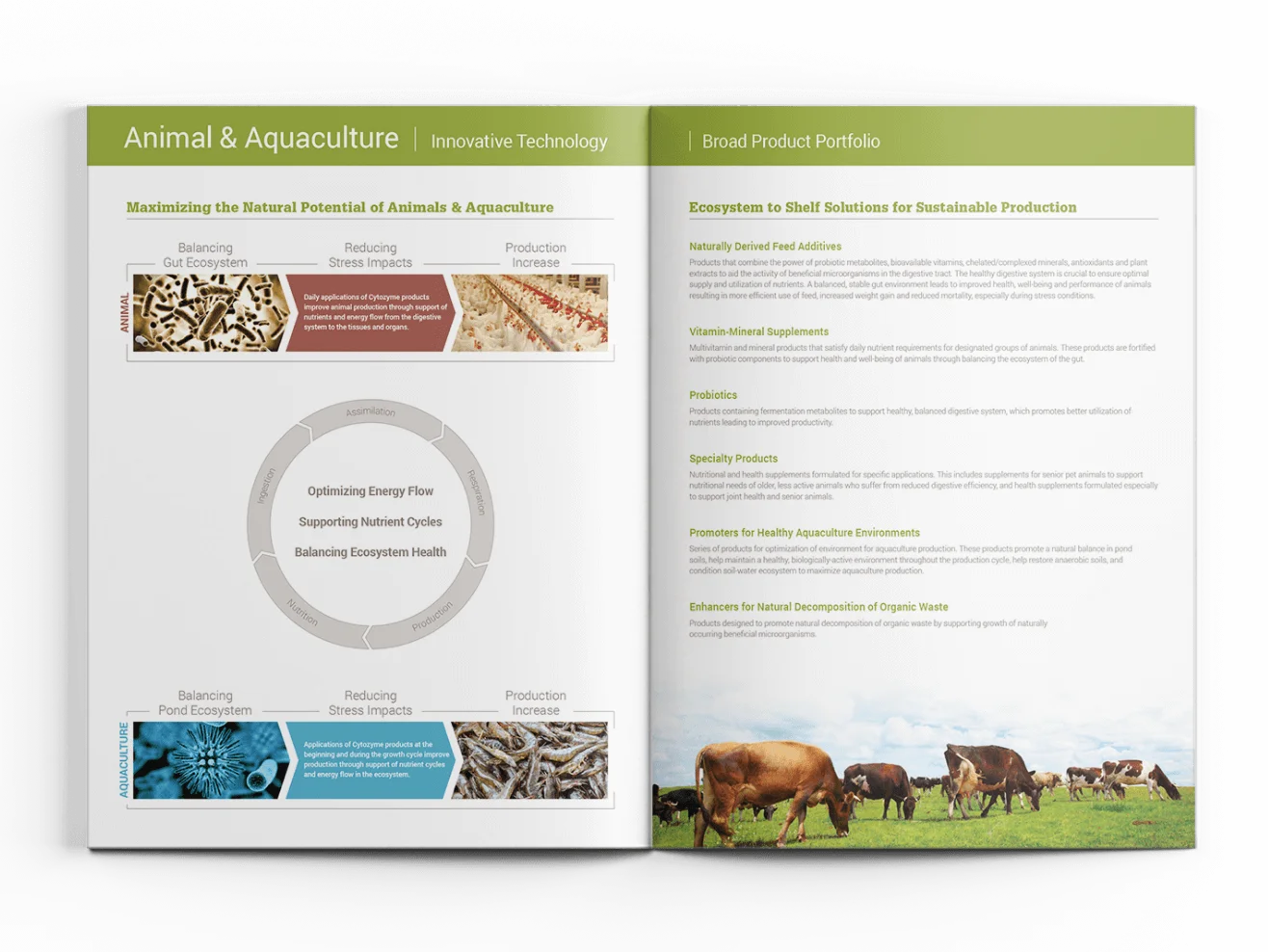 Cytozyme Brochure Open