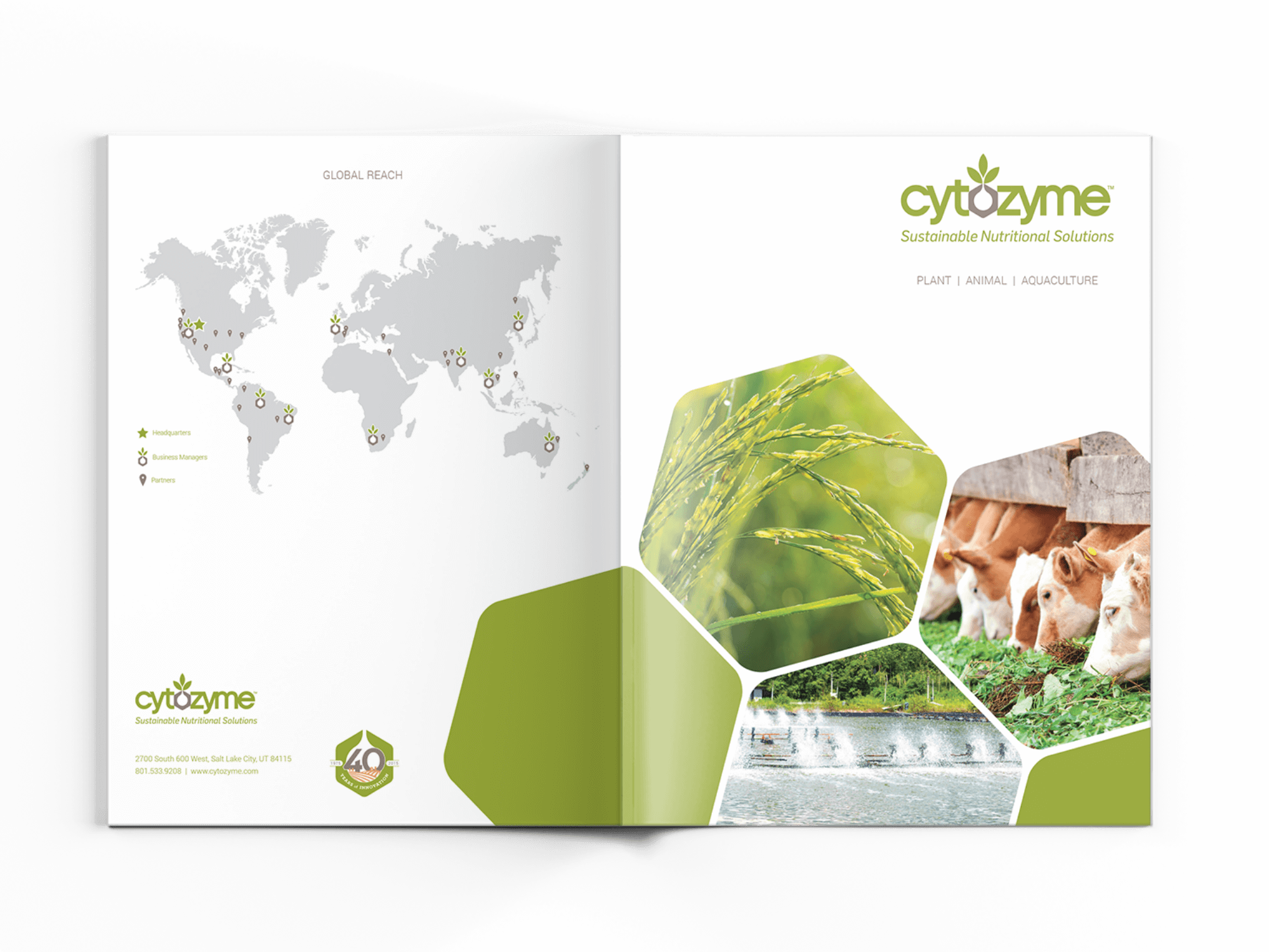 Cytozyme Brochure Epic Marketing