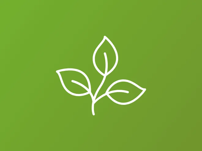 Auric Echo Iconography Plant With Green Background