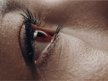 Close Up Of A Woman's Eye