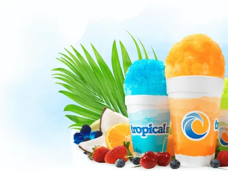 Tropical Sno Cups Surrounded By Fruits And Leaves
