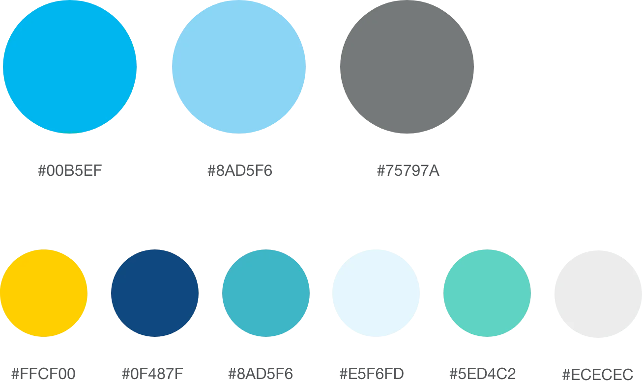 Complete Student Loans Color Palette