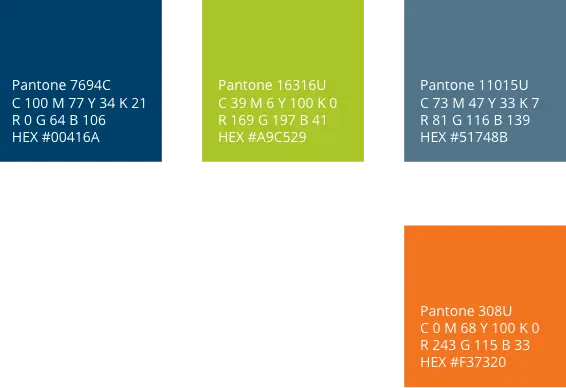 EpicVue Brand Colors
